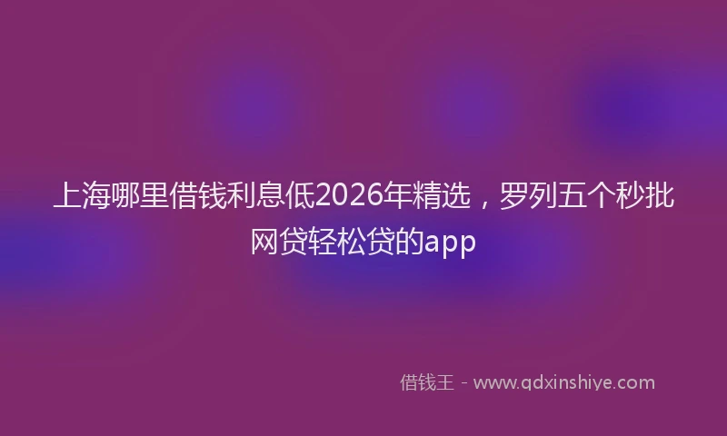 上海哪里借钱利息低2026年精选，罗列五个秒批网贷轻松贷的app