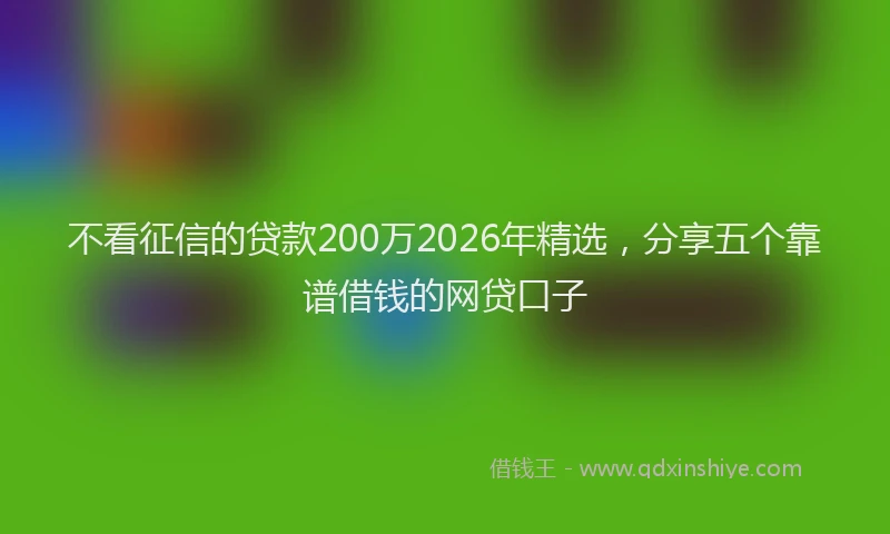 不看征信的贷款200万2026年精选，分享五个靠谱借钱的网贷口子