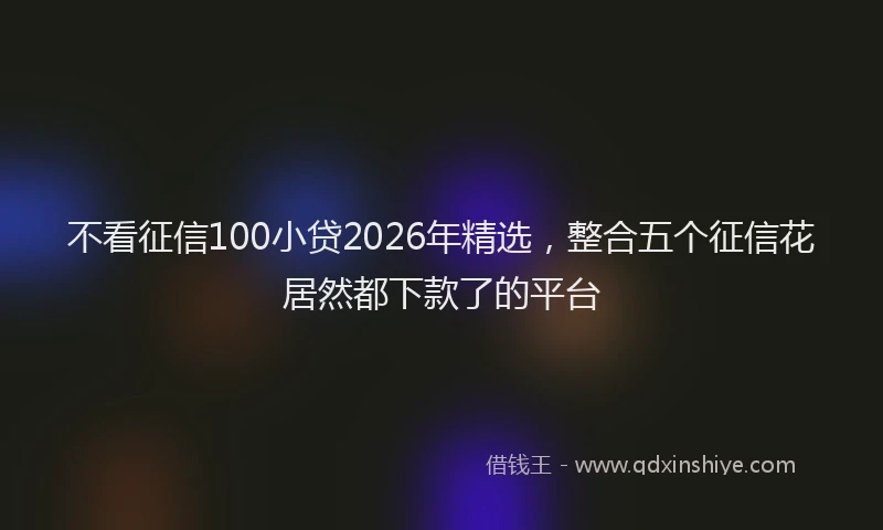 不看征信100小贷2026年精选，整合五个征信花居然都下款了的平台