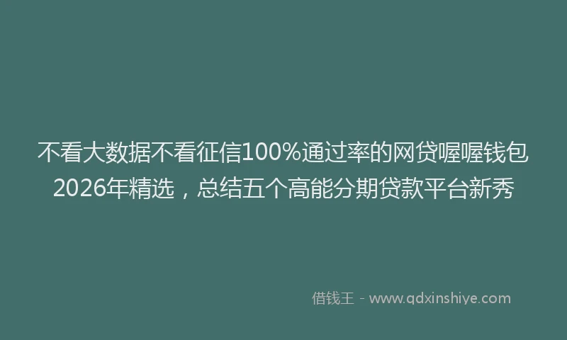 不看大数据不看征信100%通过率的网贷喔喔钱包2026年精选，总结五个高能分期贷款平台新秀
