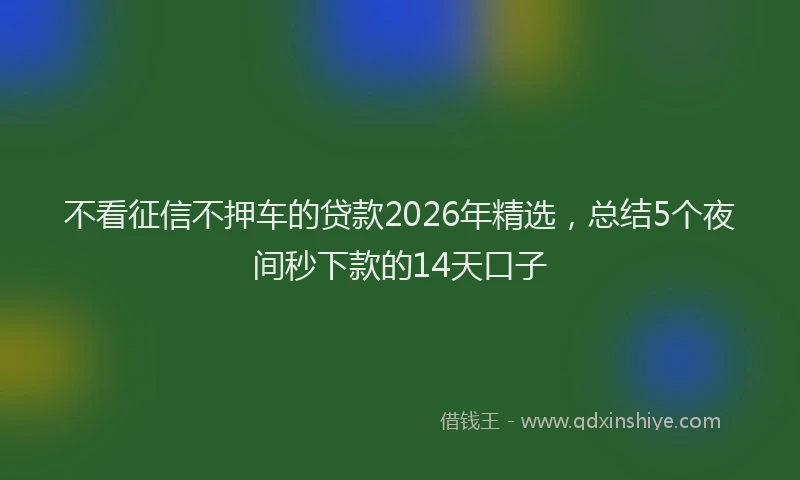 不看征信不押车的贷款2026年精选，总结5个夜间秒下款的14天口子