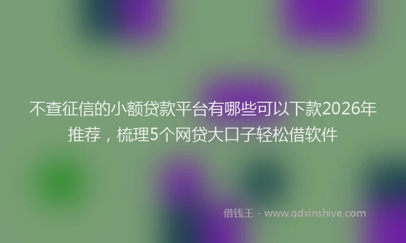 不查征信的小额贷款平台有哪些可以下款2026年推荐，梳理5个网贷大口子轻松借软件