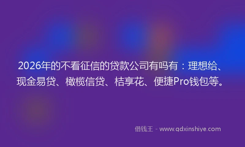 2026年的不看征信的贷款公司有吗有：理想给、现金易贷、橄榄信贷、桔享花、便捷Pro钱包等。