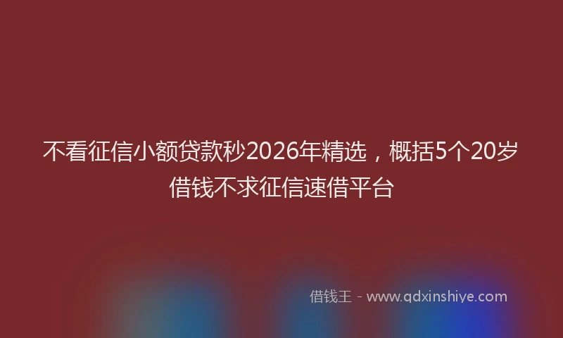 不看征信小额贷款秒2026年精选,概括5个20岁借钱不求征信速借平台
