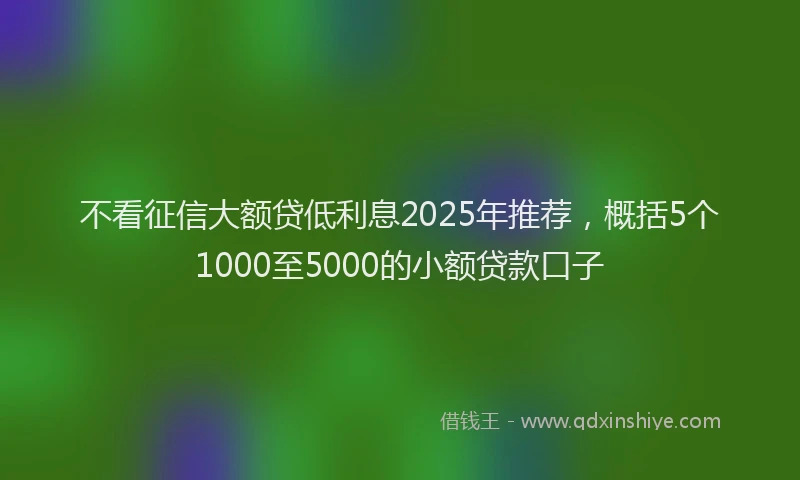 不看征信大额贷低利息2025年推荐，概括5个1000至5000的小额贷款口子