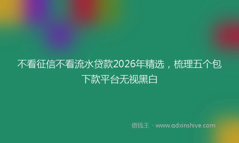 不看征信不看流水贷款2026年精选,梳理五个包下款平台无视黑白