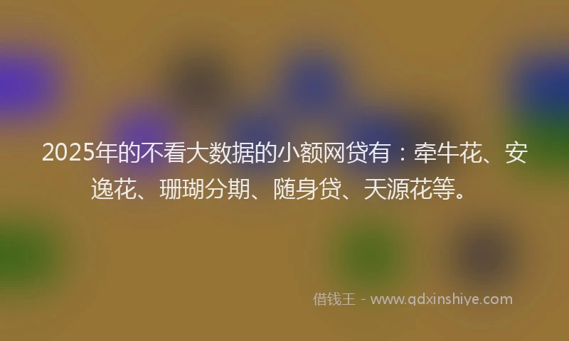 2025年的不看大数据的小额网贷有：牵牛花、安逸花、珊瑚分期、随身贷、天源花等。