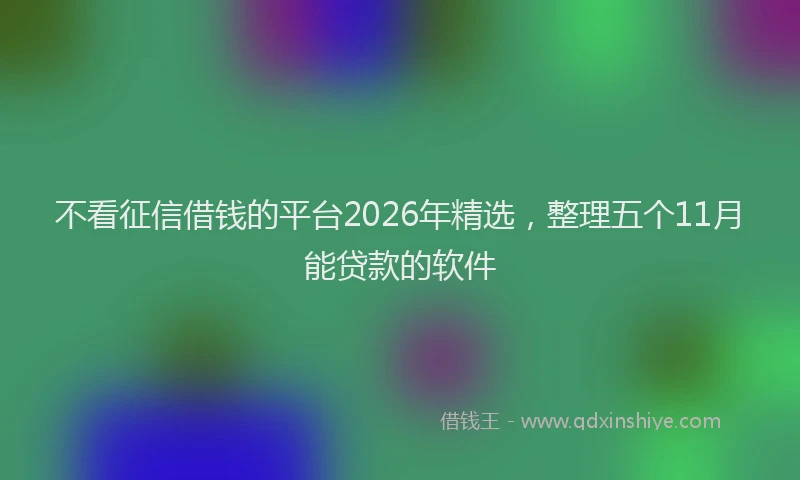 不看征信借钱的平台2026年精选，整理五个11月能贷款的软件