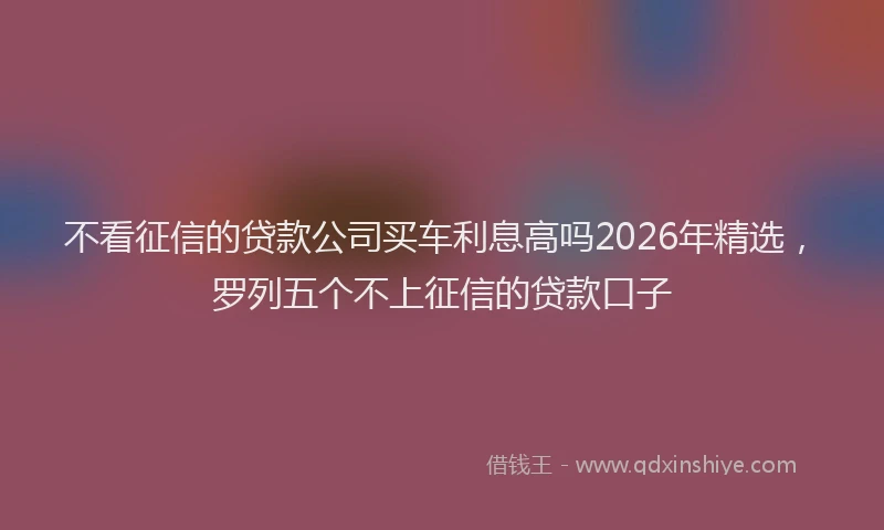 不看征信的贷款公司买车利息高吗2026年精选，罗列五个不上征信的贷款口子