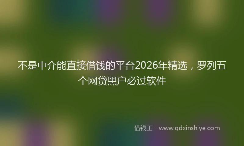不是中介能直接借钱的平台2026年精选,罗列五个网贷黑户必过软件