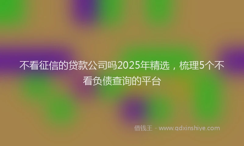 不看征信的贷款公司吗2025年精选，梳理5个不看负债查询的平台