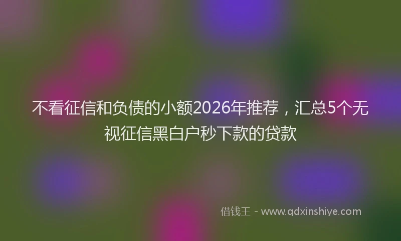 不看征信和负债的小额2026年推荐，汇总5个无视征信黑白户秒下款的贷款