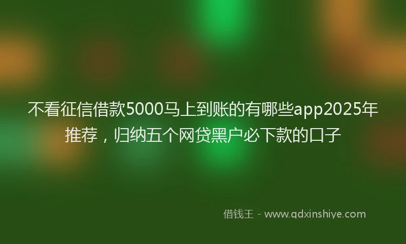 不看征信借款5000马上到账的有哪些app2025年推荐，归纳五个网贷黑户必下款的口子