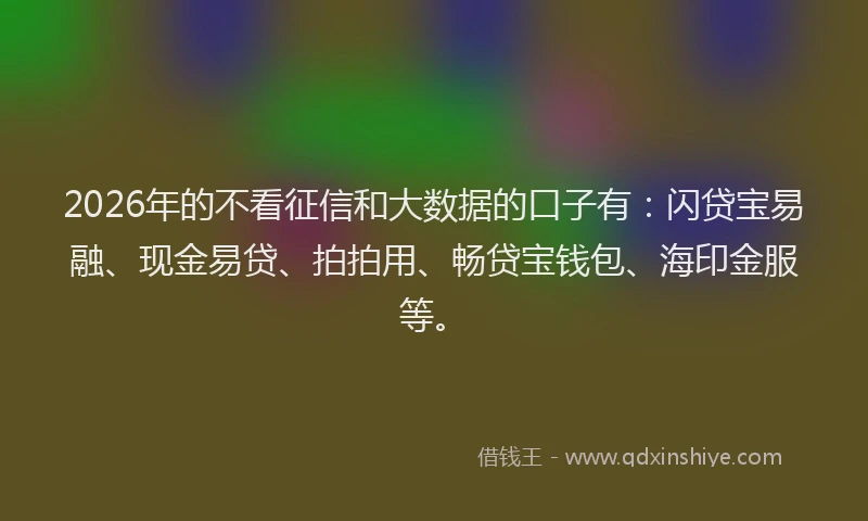 2026年的不看征信和大数据的口子有：闪贷宝易融、现金易贷、拍拍用、畅贷宝钱包、海印金服等。
