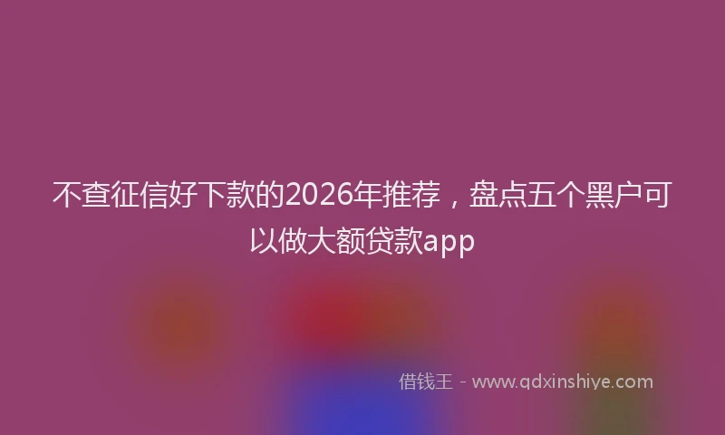不查征信好下款的2026年推荐，盘点五个黑户可以做大额贷款app