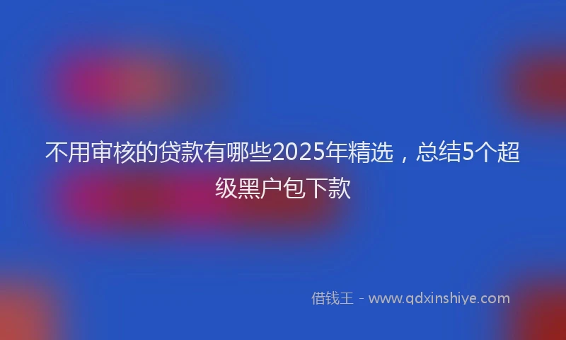 不用审核的贷款有哪些2025年精选，总结5个超级黑户包下款