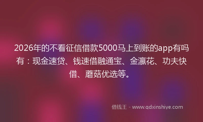 2026年的不看征信借款5000马上到账的app有吗有：现金速贷、钱速借融通宝、金瀛花、功夫快借、蘑菇优选等。
