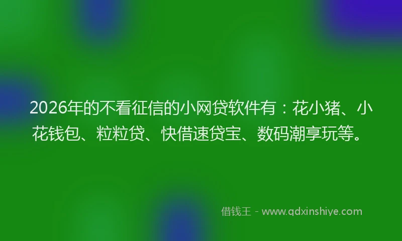 2026年的不看征信的小网贷软件有：花小猪、小花钱包、粒粒贷、快借速贷宝、数码潮享玩等。