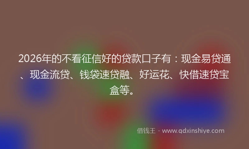 2026年的不看征信好的贷款口子有：现金易贷通、现金流贷、钱袋速贷融、好运花、快借速贷宝盒等。