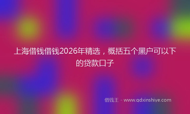 上海借钱借钱2026年精选，概括五个黑户可以下的贷款口子