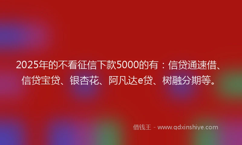 2025年的不看征信下款5000的有：信贷通速借、信贷宝贷、银杏花、阿凡达e贷、树融分期等。