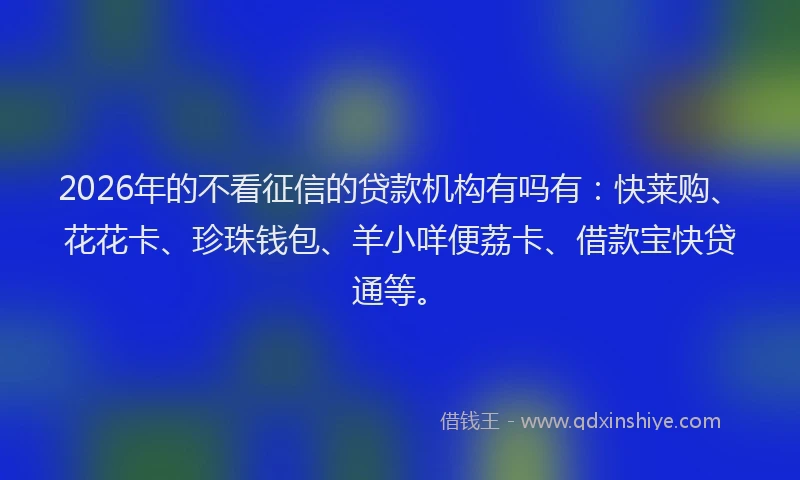 2026年的不看征信的贷款机构有吗有：快莱购、花花卡、珍珠钱包、羊小咩便荔卡、借款宝快贷通等。