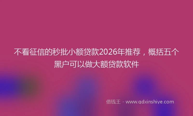 不看征信的秒批小额贷款2026年推荐，概括五个黑户可以做大额贷款软件