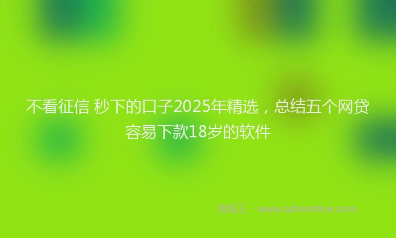 不看征信 秒下的口子2025年精选，总结五个网贷容易下款18岁的软件