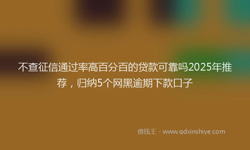 不查征信通过率高百分百的贷款可靠吗2025年推荐，归纳5个网黑逾期下款口子