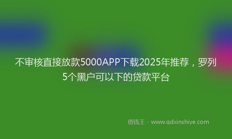 不审核直接放款5000APP下载2025年推荐，罗列5个黑户可以下的贷款平台