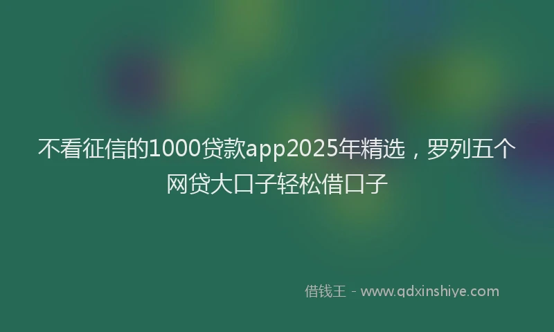 不看征信的1000贷款app2025年精选，罗列五个网贷大口子轻松借口子