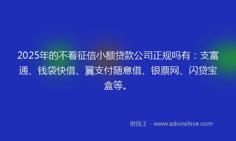 2025年的不看征信小额贷款公司正规吗有：支富通、钱袋快借、翼支付随意借、银票网、闪贷宝盒等。