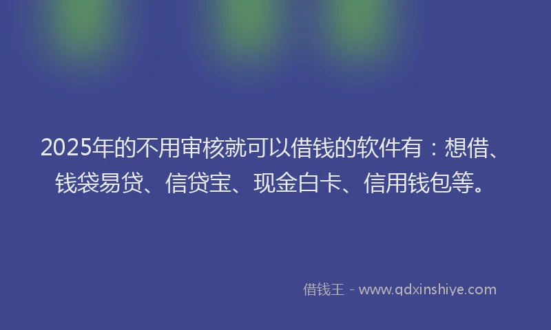 2025年的不用审核就可以借钱的软件有：想借、钱袋易贷、信贷宝、现金白卡、信用钱包等。