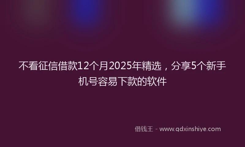 不看征信借款12个月2025年精选,分享5个新手机号容易下款的软件