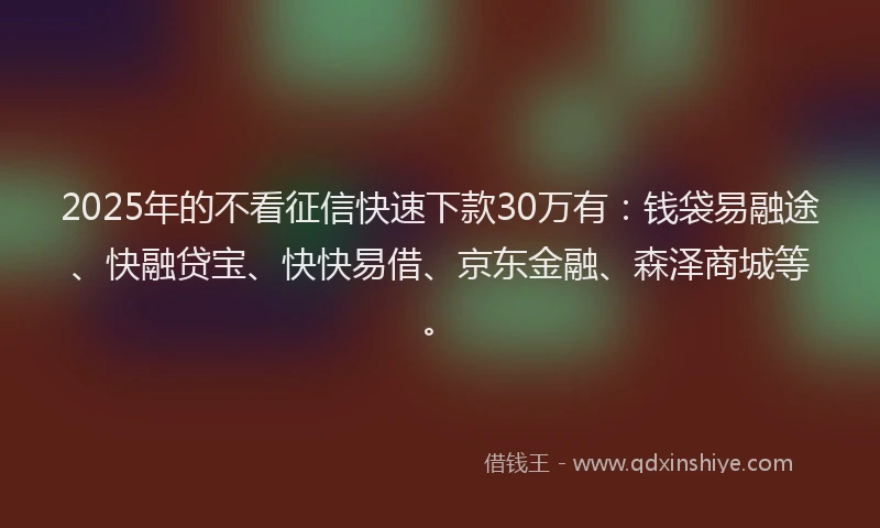 2025年的不看征信快速下款30万有：钱袋易融途、快融贷宝、快快易借、京东金融、森泽商城等。