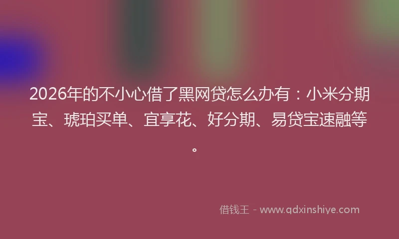 2026年的不小心借了黑网贷怎么办有：小米分期宝、琥珀买单、宜享花、好分期、易贷宝速融等。
