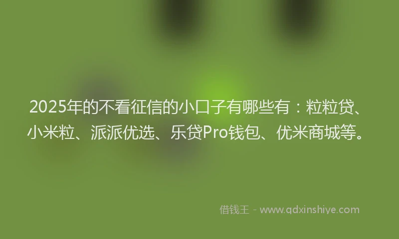 2025年的不看征信的小口子有哪些有：粒粒贷、小米粒、派派优选、乐贷Pro钱包、优米商城等。