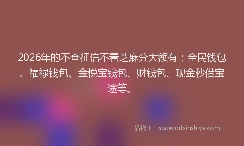 2026年的不查征信不看芝麻分大额有：全民钱包、福禄钱包、金悦宝钱包、财钱包、现金秒借宝途等。
