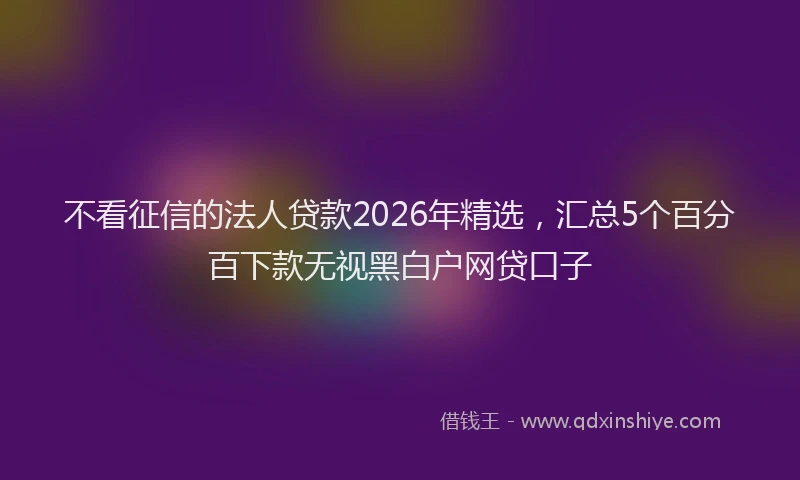 不看征信的法人贷款2026年精选，汇总5个百分百下款无视黑白户网贷口子