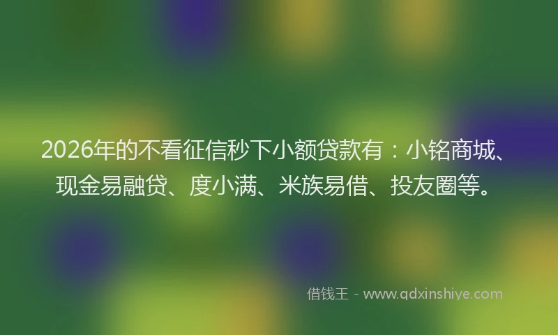 2026年的不看征信秒下小额贷款有：小铭商城、现金易融贷、度小满、米族易借、投友圈等。