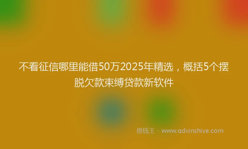 不看征信哪里能借50万2025年精选，概括5个摆脱欠款束缚贷款新软件