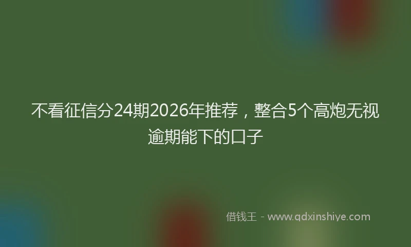 不看征信分24期2026年推荐，整合5个高炮无视逾期能下的口子