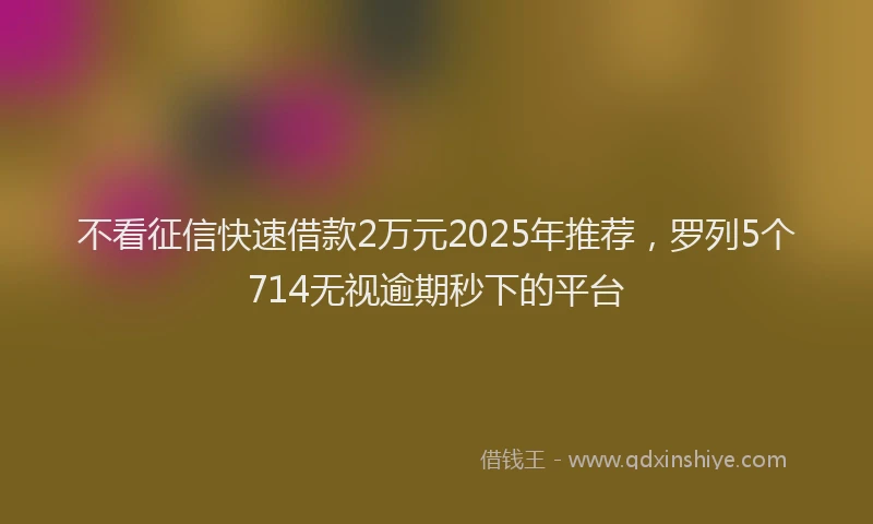 不看征信快速借款2万元2025年推荐,罗列5个714无视逾期秒下的平台