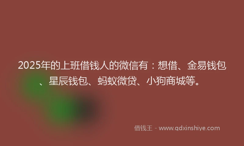 2025年的上班借钱人的微信有：想借、金易钱包、星辰钱包、蚂蚁微贷、小狗商城等。
