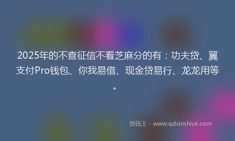 2025年的不查征信不看芝麻分的有：功夫贷、翼支付Pro钱包、你我易借、现金贷易行、龙龙用等。