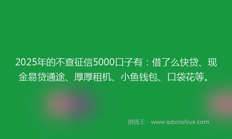 2025年的不查征信5000口子有：借了么快贷、现金易贷通途、厚厚租机、小鱼钱包、口袋花等。