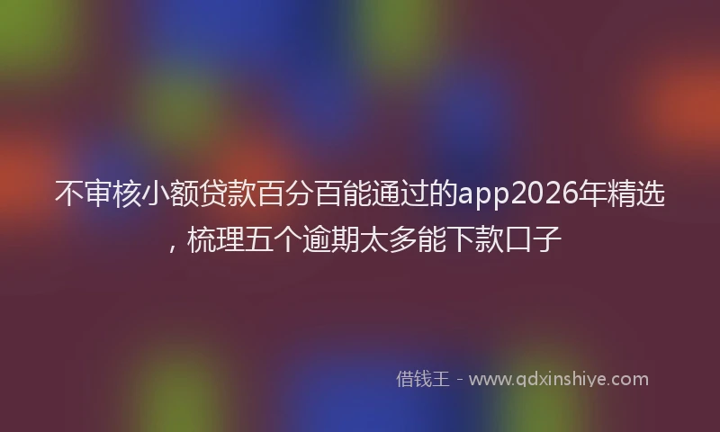 不审核小额贷款百分百能通过的app2026年精选，梳理五个逾期太多能下款口子