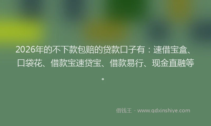 2026年的不下款包赔的贷款口子有：速借宝盒、口袋花、借款宝速贷宝、借款易行、现金直融等。