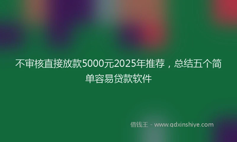 不审核直接放款5000元2025年推荐，总结五个简单容易贷款软件