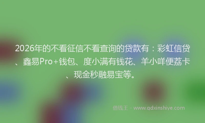 2026年的不看征信不看查询的贷款有:彩虹信贷、鑫易Pro+钱包、度小满有钱花、羊小咩便荔卡、现金秒融易宝等。